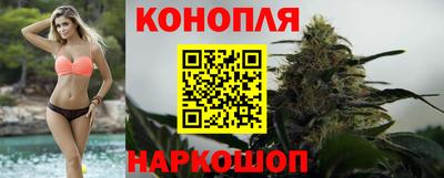 spice Новозыбков