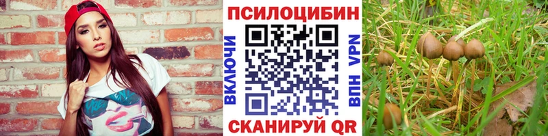 купить  сайты  Черкесск  ссылка на мегу онион  Псилоцибиновые грибы Psilocybine cubensis 