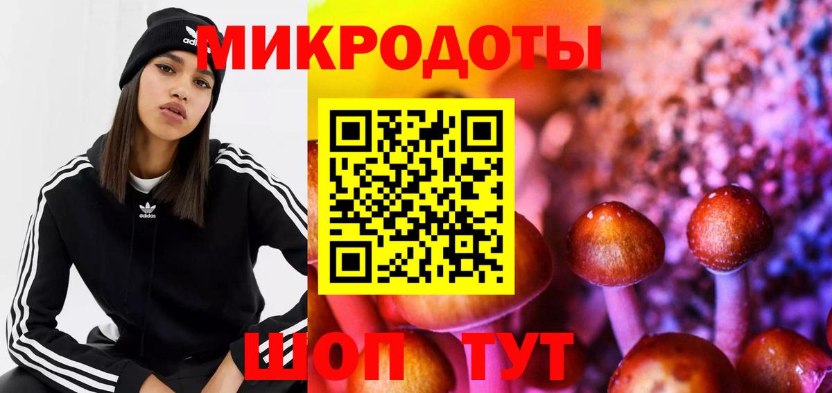 Галлюциногенные грибы Cubensis Черкесск