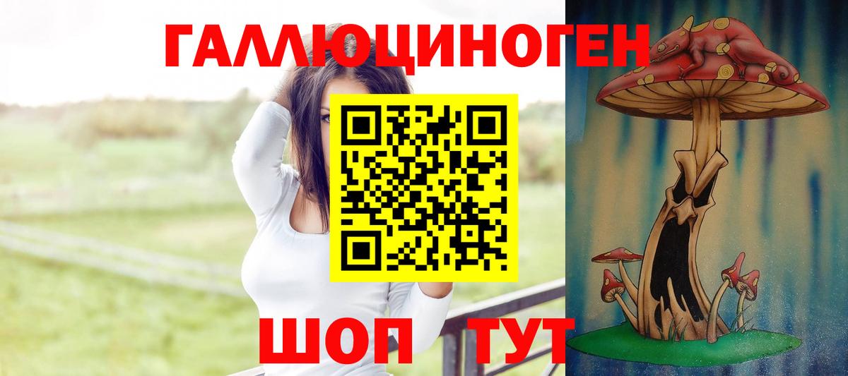 Псилоцибиновые грибы Psilocybine cubensis  Вход с VPN  Черкесск 